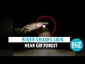 Biker chases lion near Gujarat’s Gir forest, viral video