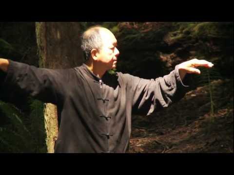 dr taiji yang