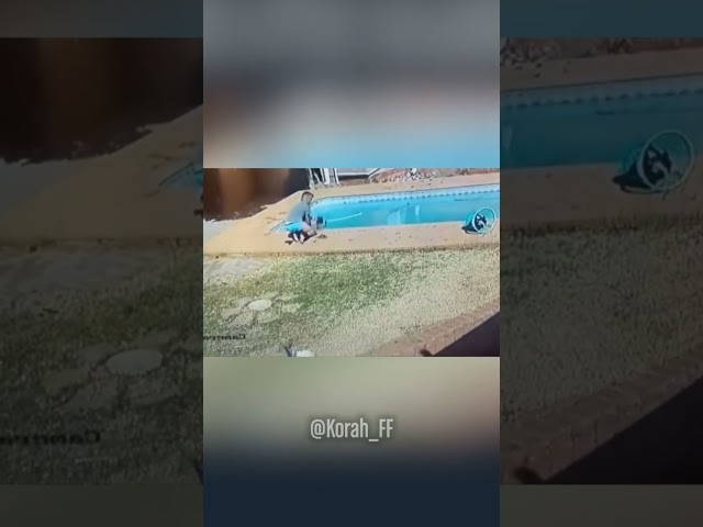 Se lo critica todo, pobre