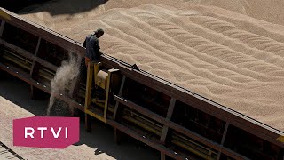 Почему в Европе запрещают импорт зерна из Украины и как решить проблему?