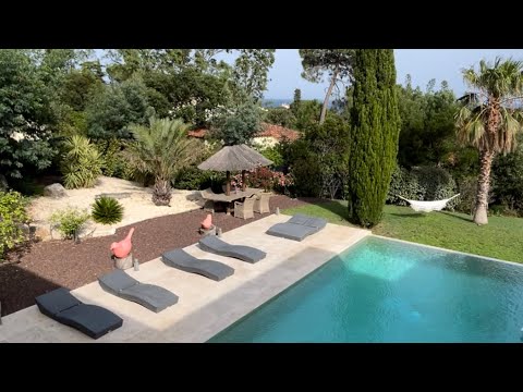 Property video