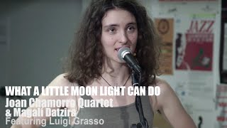 What a Little Moonlight Can Do