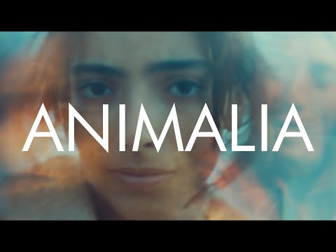 Animalia'
