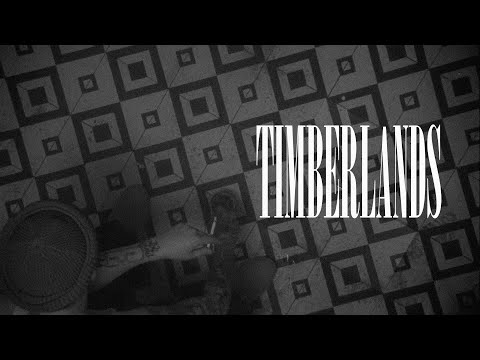 *FREE* СКРИПТОНИТ x GRUPPA SKRYPTONITE Type Beat - TIMBERLANDS