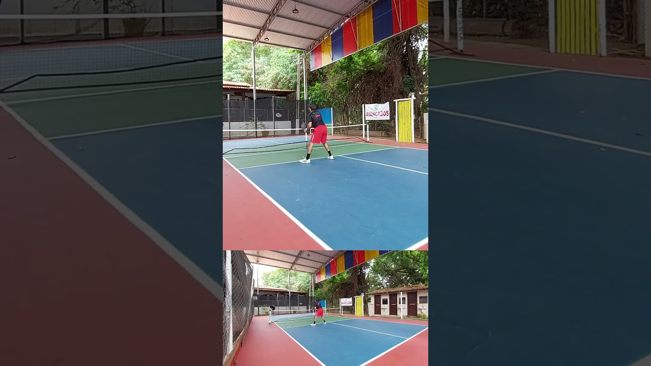 PICKLEBALL JOGADAS 68 #pickleball #pickleballislife #sport #sports #shorts #short #shortvideo