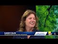 Headed to Sandy Point State Park? You may need a Day Pass  - 03:45 min - News - Video