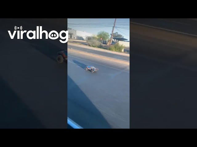 RC Car Drives Down Tucson Road || ViralHog