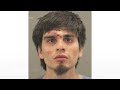 Suspect charged with murder and attempted murder in Illinois stabbings  - 01:42 min - News - Video