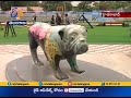 India's First Exclusive Dog Park Inaugurated in Hyderabad