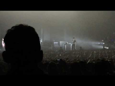 Matty Healy sees a dog - Atlanta