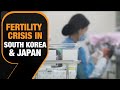 Fertility Crisis: South Korea and Japan Witness Record Low Birthrates in 2023| News9