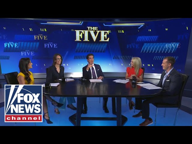‘The Five’: Dems engage in ‘infantile’ behavior