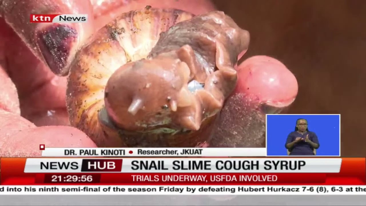 Snail slime cough syrup