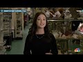 Customer finds human skull for sale in Florida thrift store  - 01:34 min - News - Video
