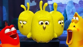 Larva - povstání kuřat