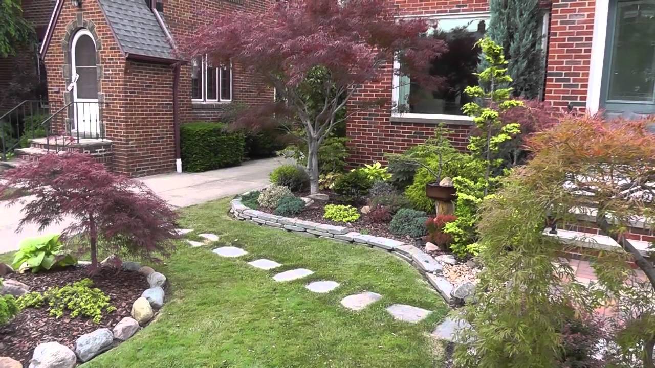 The Summer Garden - Japanese maple garden (Front yard and ...