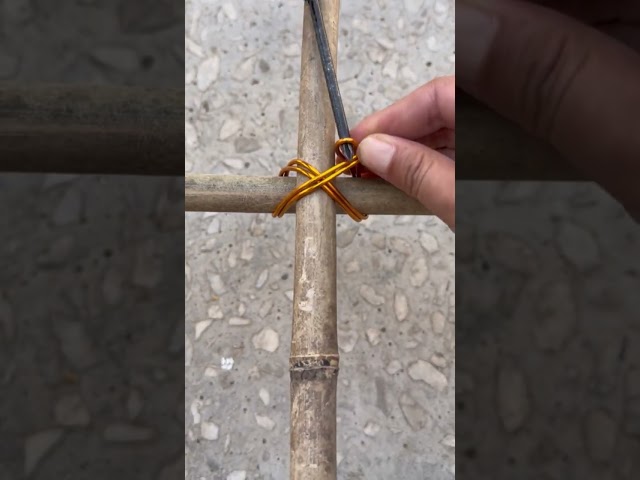 Orchard bamboo frame bundling process