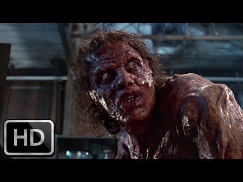 The Fly'