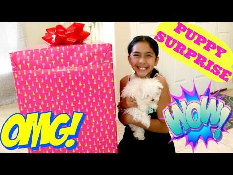 PUPPY SURPRISE!! UNBOXING THE MOST AMAZING SURPRISE |B2cutecupcakes