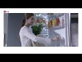 Холодильники LG с технологией Door Cooling | Советы от My Gadget