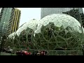 Amazon unveils new corporate office with 40,000 plants from 50 countries in Seattle