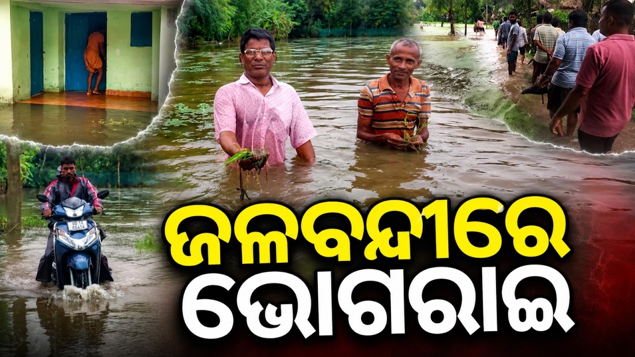 Bhograi Waterlogging Crisis: 10 Panchayats Submerged For 20 Days In Balasore | Argus News
