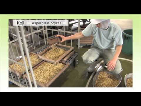 Miso of the manufacturing process