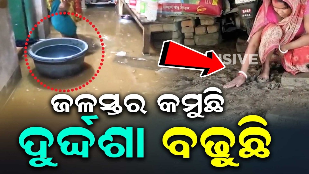 Subarnarekha Flood: Baliapal, Bhograi & Jaleswar Villages Inundated | Argus News