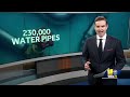 2% of homeowners who need to check for lead pipes have done so(WBAL) - 02:38 min - News - Video