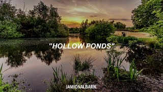 Hollow Ponds - Damon Albarn (Lyrics//Subtitulado al Español)