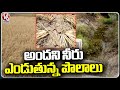 Water Shortage For Agriculture In Jangaon district | V6 News