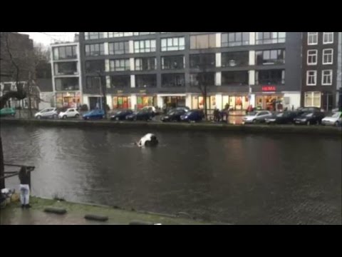 Случајни минувачи – херои спасуваат мајка со дете во кола што тоне во река во Амстердам