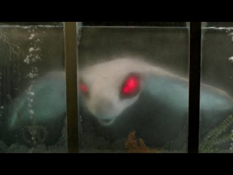 Lords of the Deep'