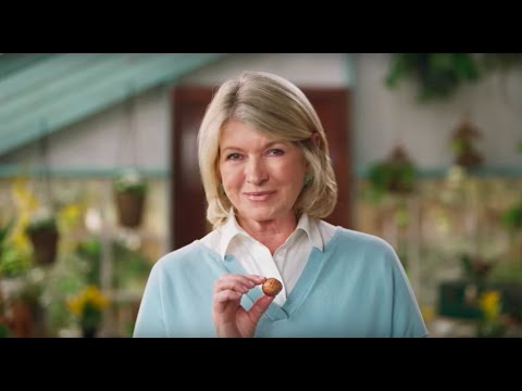 Video: Martha Stewart partners with Subway® Canada and Beyond Meat® to launch NEW plant-based Beyond Meatball™ Subs