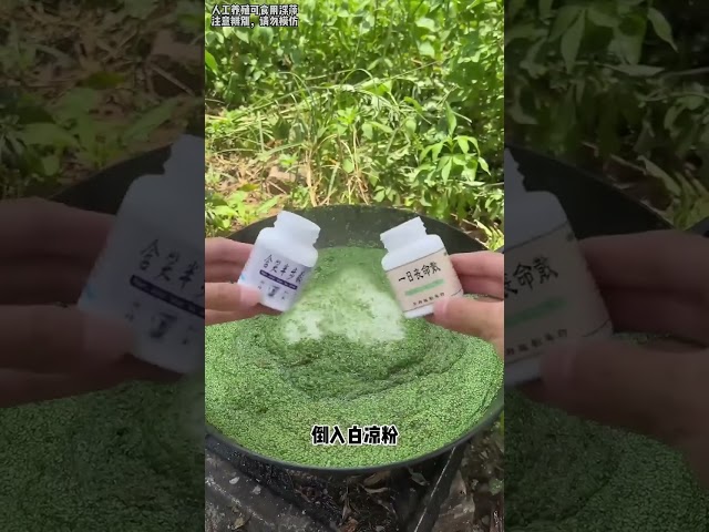 ”Duckweed” makes a cake!|Chinese Mountain Forest Life And Food #MoTiktok #Fyp
