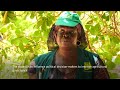 Senegalese project helps women farmers  - 01:55 min - News - Video