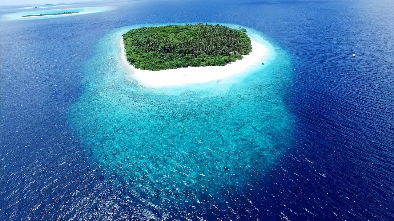 Остров прокат. Дешевые острова. Самый дешевый остров. Остров на Мальдивах продается. Самый дешевый остров на Мальдивах.