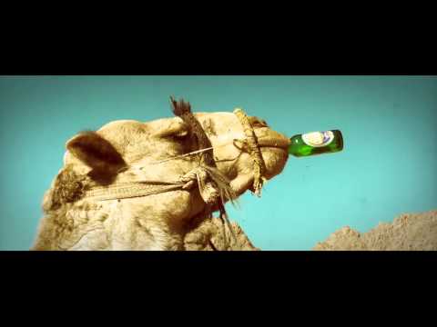 Verrückte Hunde - Foxn`s 100 Rhymes Auf Amigakabel (Official Video)