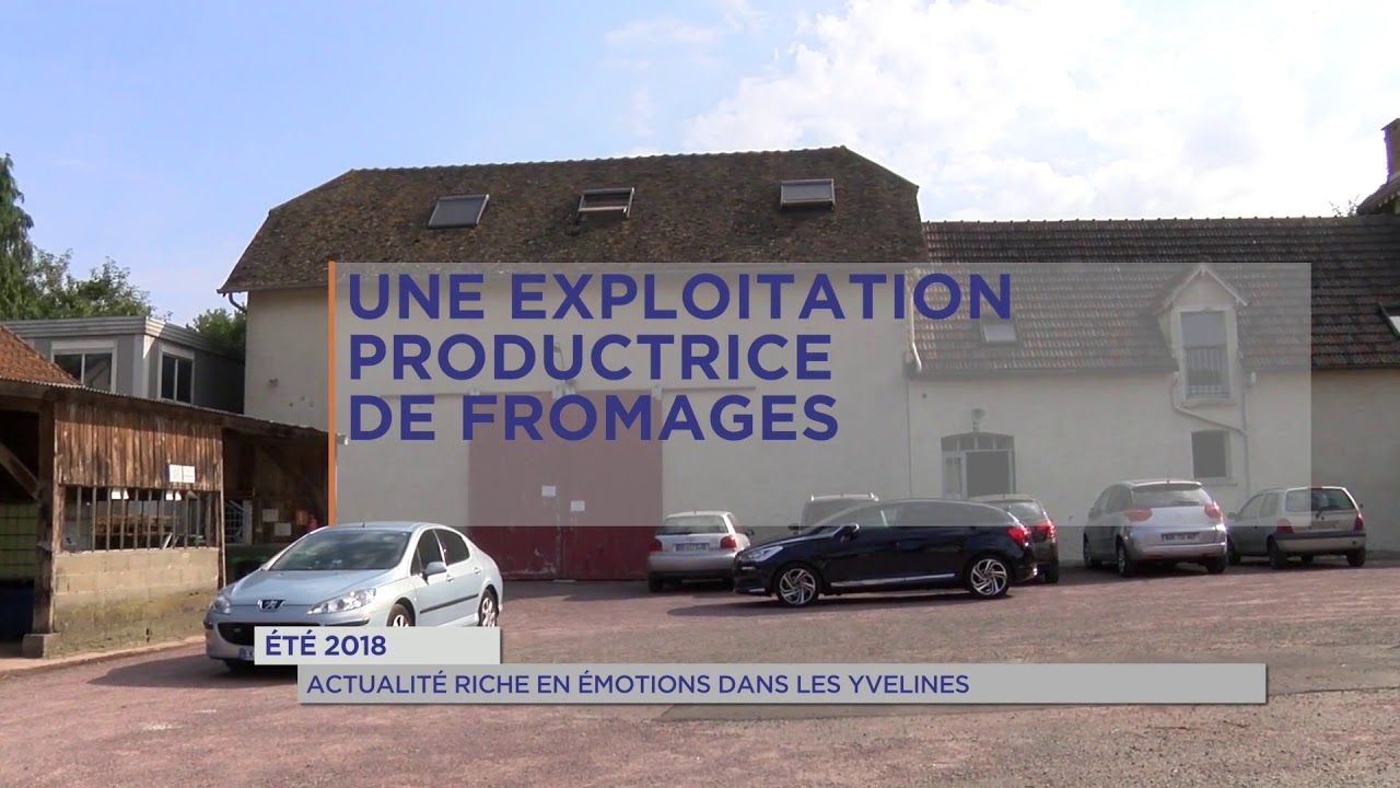 Été 2018 : Actualité riche en émotions dans les Yvelines
