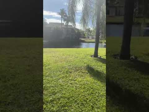 Property video