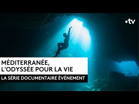 Méditerranée, L'odyssée pour la vie'