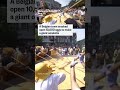 Belgian town uses 10,000 eggs to make giant omelette - 00:36 min - News - Video