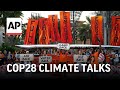 Activists say their voices are stifled by increasing rules and restrictions at COP28 climate talks