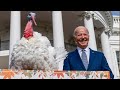 Biden pardons Thanksgiving turkeys