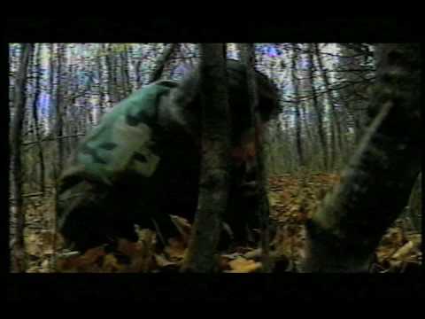 Blood of the Werewolf'