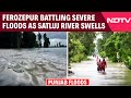 Punjab Floods | Ferozepur Battling Severe Floods As Satluj River Swells; Governor Pushes For Aid