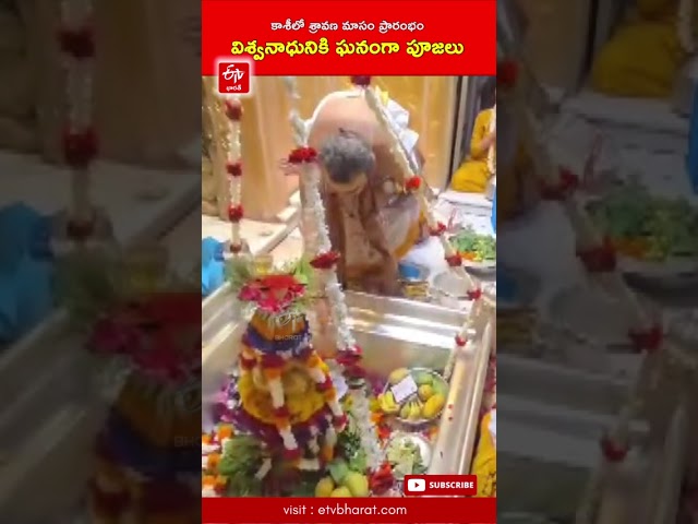 కాశీలో శ్రావణ మాసం ప్రారంభం  విశ్వనాధునికి ఘనంగా పూజలు