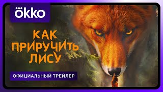 Как приручить лису 1 сезон 1 серия