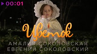 Амалия Соколовская & Евгений Соколовский — Цветок | Official Audio | 2020