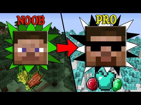 More EASY Ways To Transform From Noob To Pro In Minecraft 